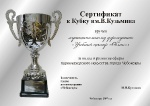 Сертификат кубка_1